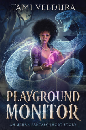 Playground Monitor Ebook Cover